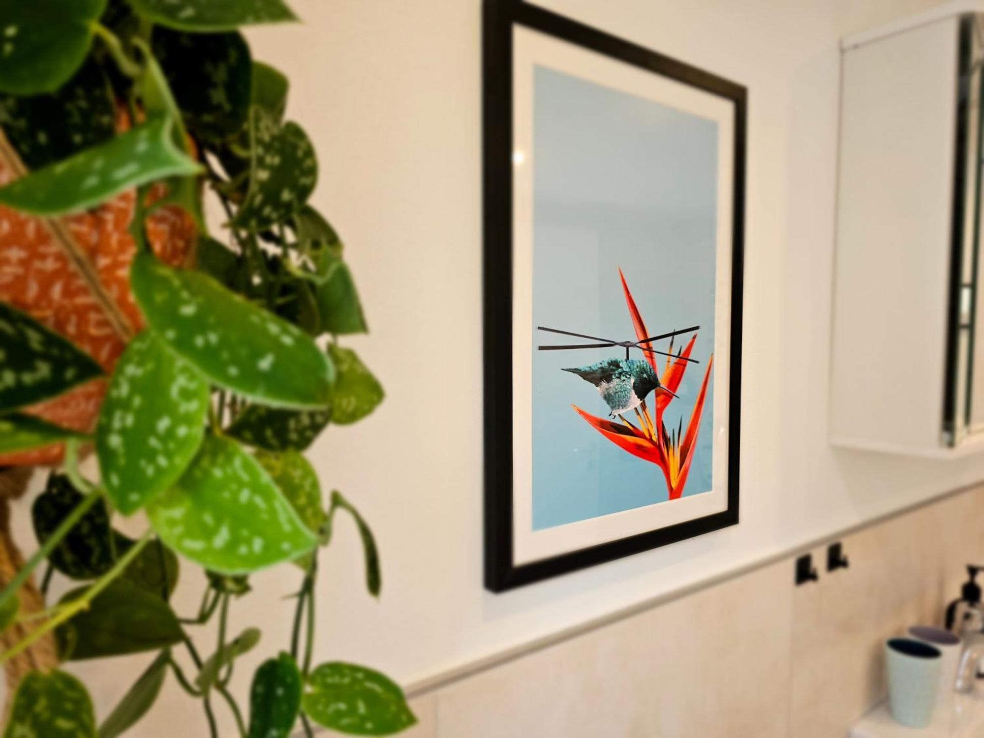 Kolibri - Design Maisonette - Nintendo Switch, Streaming, Bikestore, E-Wallbox Marburg Bagian luar foto